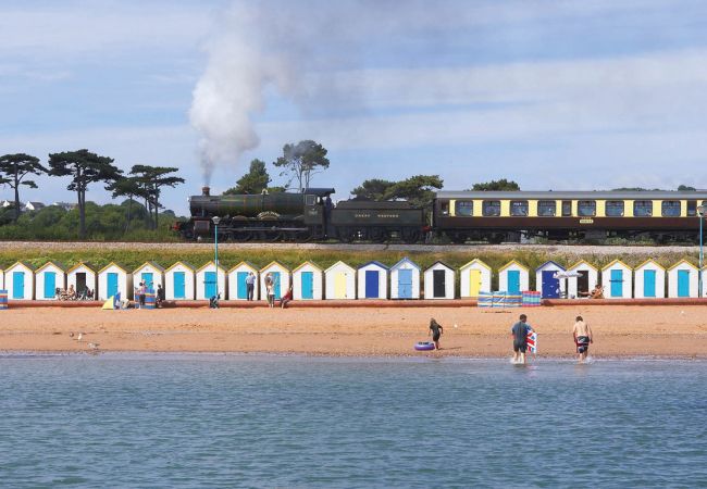 House in Paignton - The Spinney House in Paignton - The Spinney