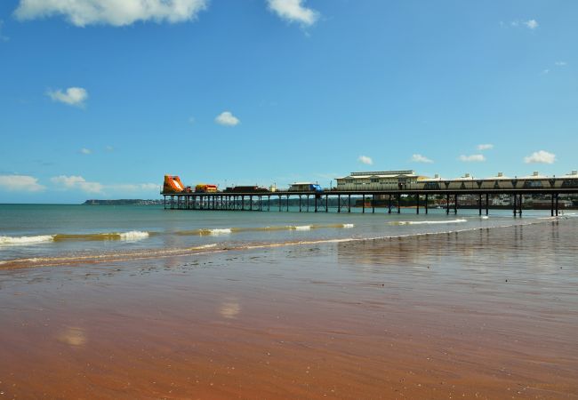 House in Paignton - The Spinney House in Paignton - The Spinney