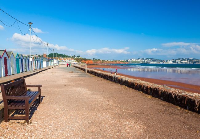 House in Paignton - The Spinney House in Paignton - The Spinney