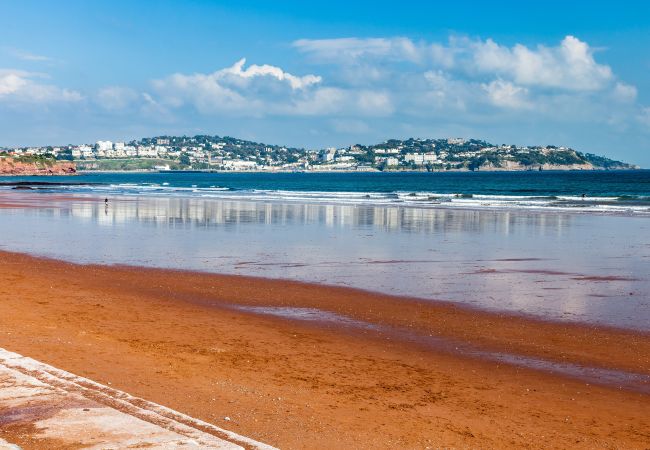 House in Paignton - The Spinney House in Paignton - The Spinney