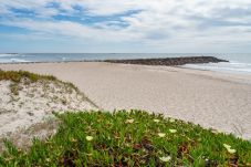 Apartment in Esposende - The Sun & Sea Apartment