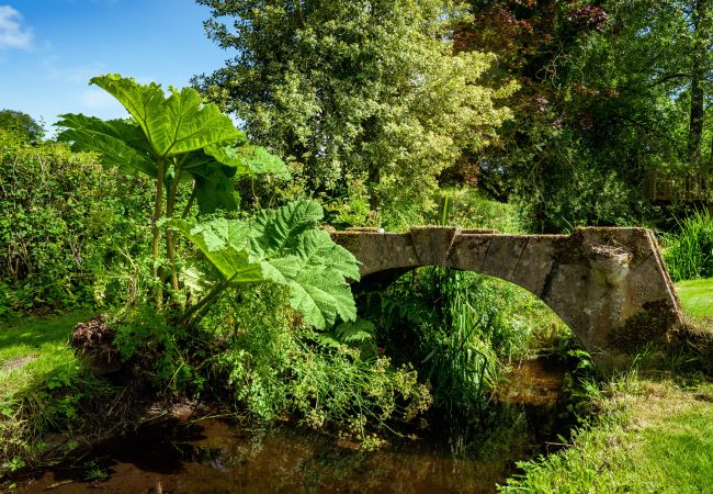 Gîte Rural à Chagford - Weeke Brook Gîte Rural à Chagford - Weeke Brook