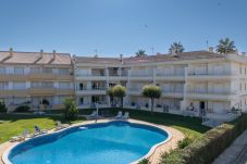 Appartement à Vilamoura - Greice Homes - T2 -  JV - Vilamoura Centre